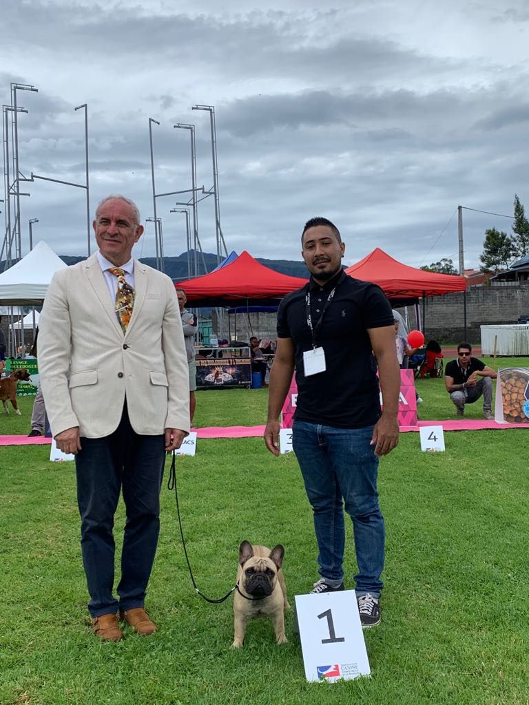 Du Domaine Des Laves - EXPOSITION CANINE MULTIRACE CACS