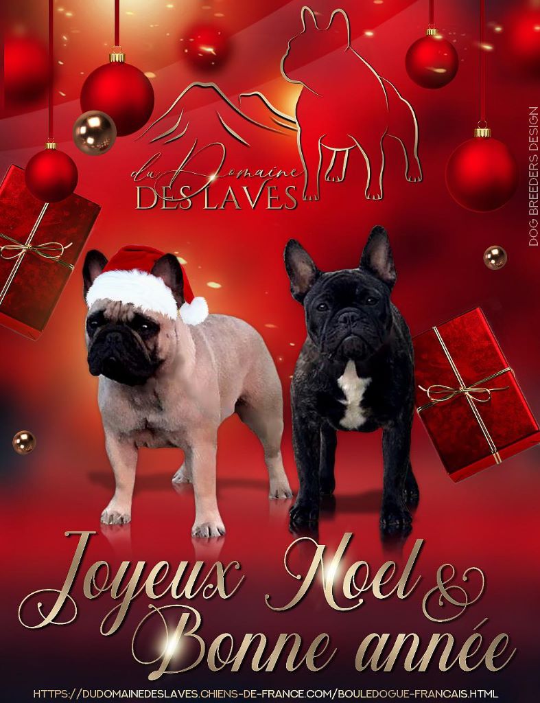 Du Domaine Des Laves - Joyeuse fête