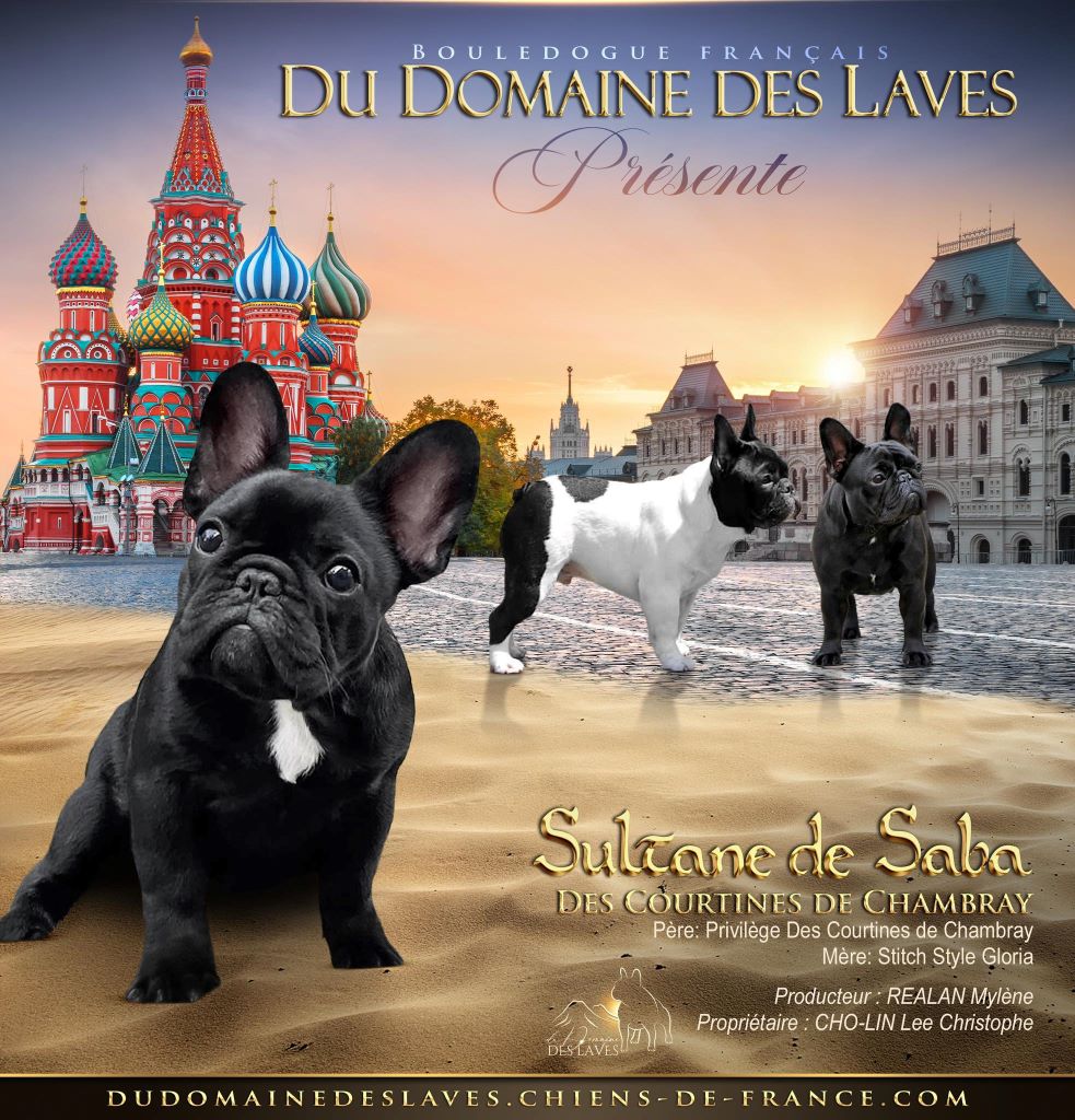 Du Domaine Des Laves - Nouvelle arrivée 