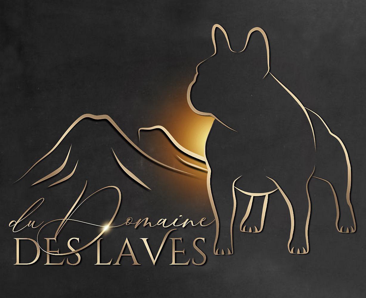 Du Domaine Des Laves